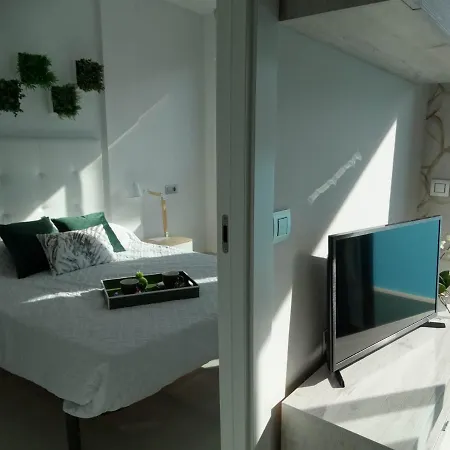 Santa Monica - Residencial Almudena, Torrevieja Torrevieja